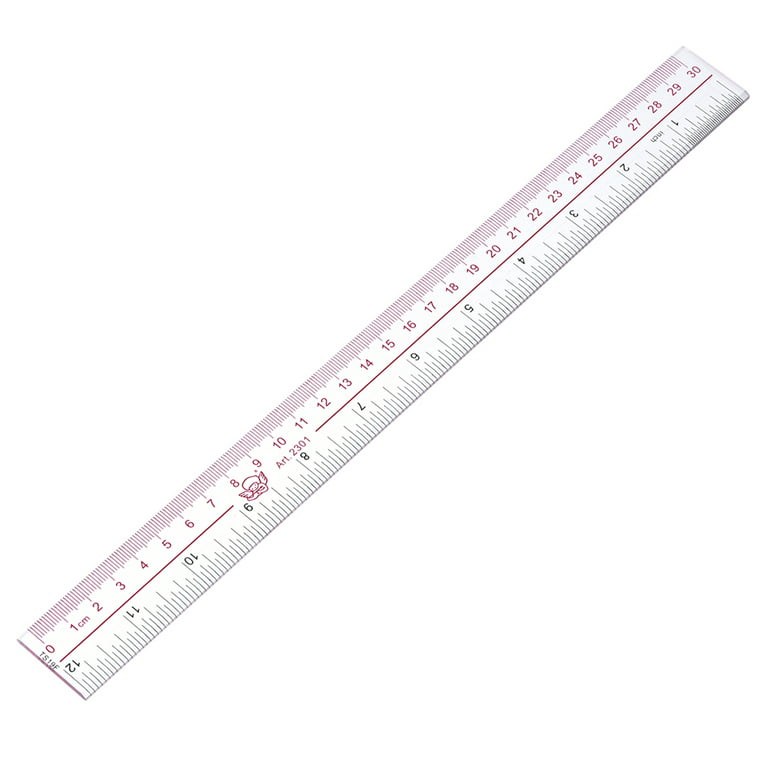 RHBLME 48 Pack Clear Plastic Ruler, 12 inch Standard/Metric Rulers Straight Ruler Measuring Tool, Centimeters and Millimeter for Kids and Teachers