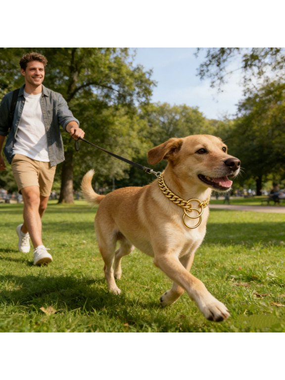 30cm Gold Stainless Steel P Chain Collar Necklace for Small Dogs - Outdoor Indoor Accessory with Modern Design,30 cm