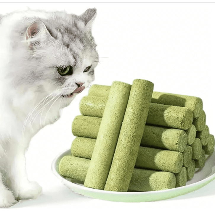 Medical Sign Rn 30g Cat Grass Sticks, Freeze Dried Cats Grass Teething Stick, Edible ...