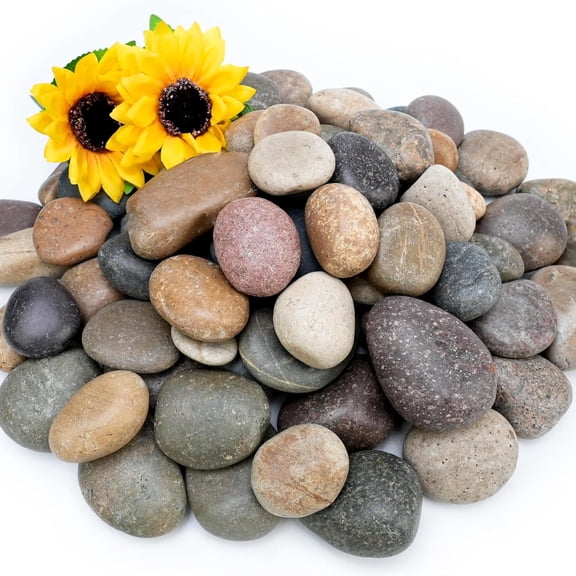 30lb Mexican Beach Pebbles, 2-3" Large River Rocks for Landscaping, Smooth Garden Rocks for Outdoor Paving, Natural Pebbles for Indoor Plants, Decorative Stones for Planters, Fish Tank, Fountai