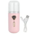 30ml Mini Facial Humidifier Portable Nano Atomization USB Charging Face