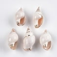 thumbnail image 1 of 30pc Electroplate Spiral Shell Pendants with Iron Findings Light Gold Seashell Color 31~35x16~20x14~17mm Hole: 1.5mm, 1 of 2