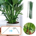 thumbnail image 1 of 30pcs 23cm Fish Zip Ties,Adjustable Garden Plant Support,Vegetable Flower Vine Plant Ties,Flexible Garden Cable Ties,Plant Binding Clips,Multi-Purpose Gardening Support,Soft Durable Plant Ties, 1 of 9
