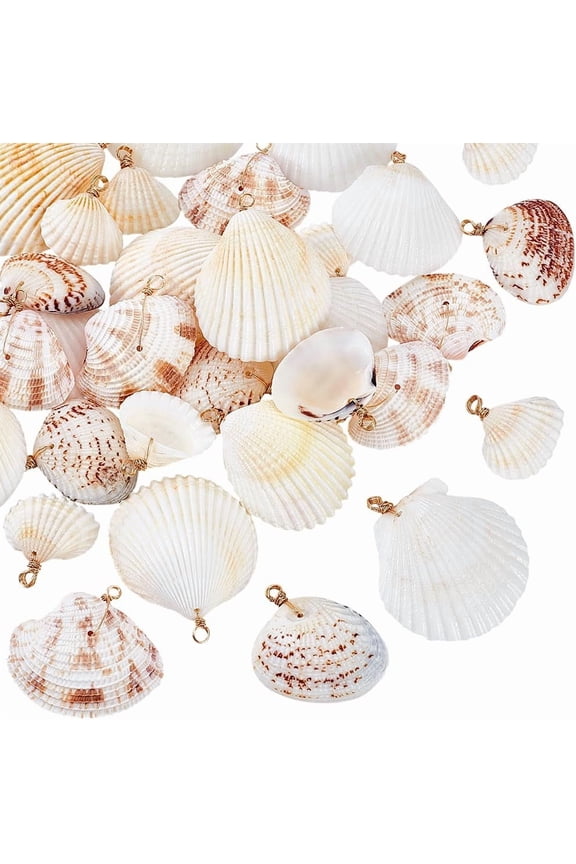 30pcs 5 Styles Natural Seashells Charms 1~2 inch Ocean Sea Shell Charms Beach Seashells with Golden Loop Bail