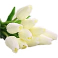 thumbnail image 1 of 30pcs Artificial Tulip Real Touch Flower for Wedding Home Decor Centerpiece, 1 of 4