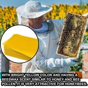 30pcs Beekeeping Supplies Honeycomb Bee Wax Foundation Beehive Wax Frames Base Sheets Bee Comb Honey Frame beekeeping