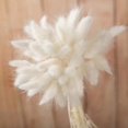 thumbnail image 1 of 30pcs Dried Flowers Pampas Grass Flores Artificial Flowers Fake Wedding Decoration Fleurs Artificielles Christmas Home Decor (D white,30pcs), 1 of 7