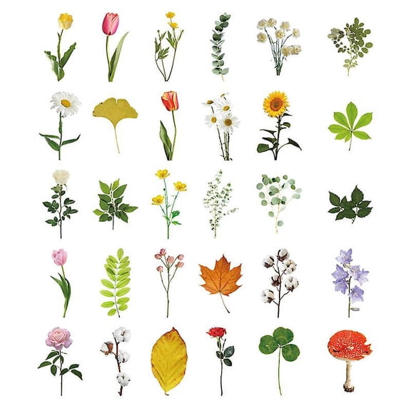 30pcs Greeting Cards