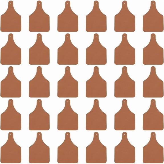 30pcs Leather Tags 3x2 Inch Genuine Leather Labels 2mm Thick Leather Blank Cow Ear Tag with 2mm Hole Dark Brown Cowhide Leather Labels for Clothes Jeans Hats Accessories DIY Jewelry Crafts Sienna