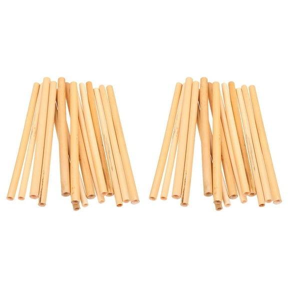 WHAMVOX 30pcs Natural Reed Bee Tubes for Garden and Outdoor Use Light Yellow Reed Cane Beehive DIY