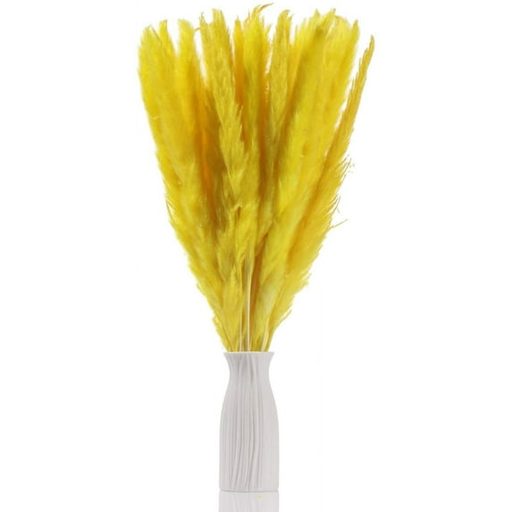 30pcs Natural Dried Pampas Grass Pompous Grass Long-Lasting Dried Flowers Bouquet Fluffy Wheat Plumes Italian Ruscus for Boho Wedding Home Decor Flower Arrangements - Yellow