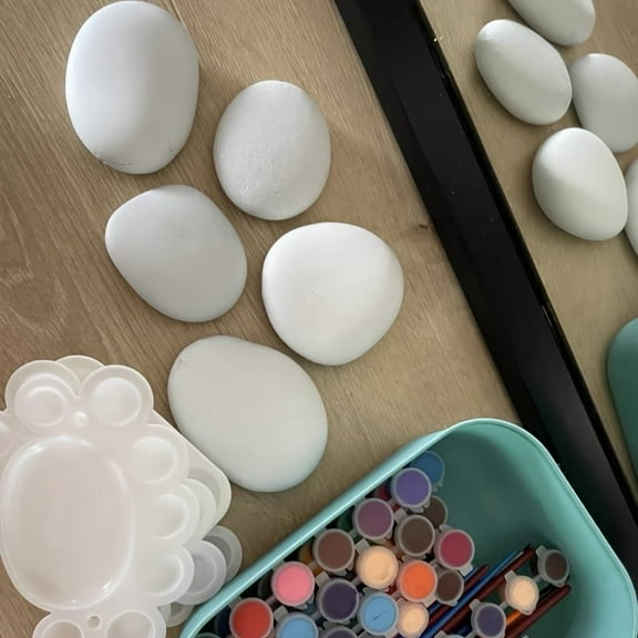 30pcs White Painting Rocks, 2"-3" Painting Rocks, Flat & Smooth Rocks to Paint, Hand Picked Natural Stones for Painting.