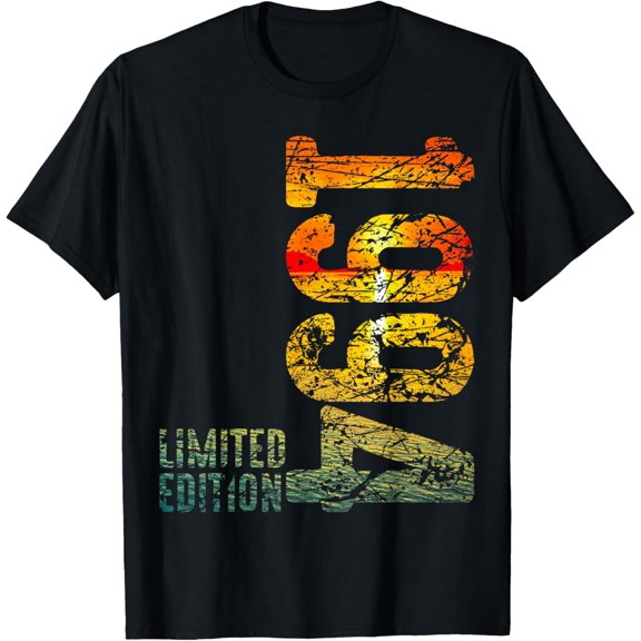 30th Birthday Man Woman 30 Years 1994 Decorative Funny Gift T-Shirt