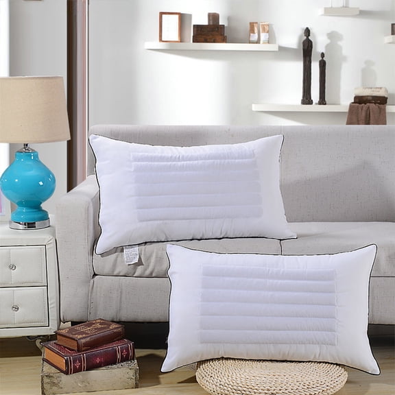 30x18in Soft Buckwheat Pillow, Wenini Breathable Dormitory Pillow Core White Gray, Home Decorative Cuddle Pillow for Bedroom Sleeping with Medium Support, White