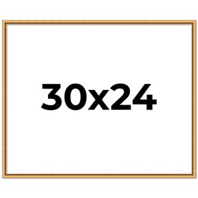 30x24