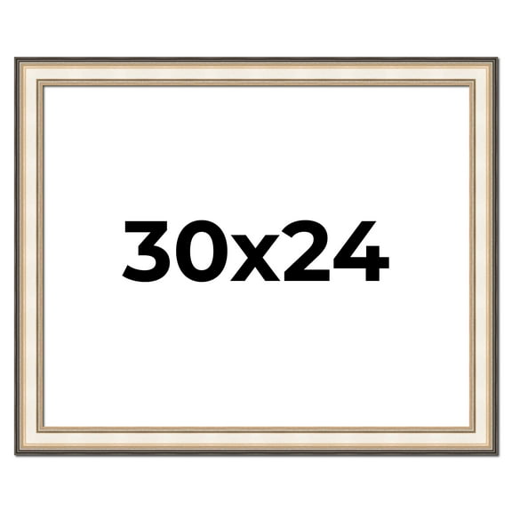 30x24 Frame Gold Silver Plein Aire 2" Inch Wide Moulding Solid Wood Picture Frame | Modena