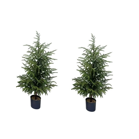 31.4" Artificial Norfolk Pine Tree - Faux Christmas Tree Potted Green for Front Porch Christmas Indoor Outdoor Decor for Entryway, Living Room, Office, Apartment(2PC)