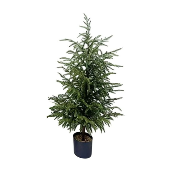 31.4" Artificial Norfolk Pine Tree - Faux Christmas Tree Potted Green for Front Porch Christmas Indoor Outdoor Decor for Entryway, Living Room, Office, Apartment