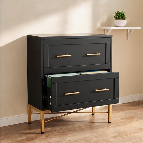 31.5 Inch 2-Drawer Lateral File Cabinet, Sleek Black Particle Board Steel Storage for Home Office