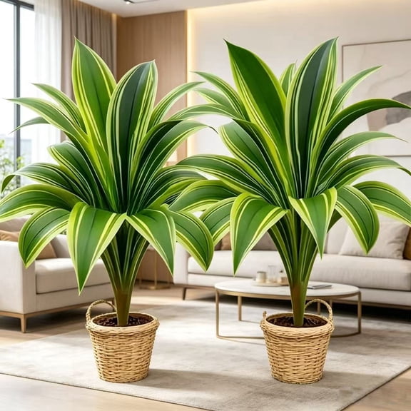 Artificial Variegated Dracaena Plant 2 Pack - Faux Green Striped Yucca Plant for Indoor Home Office Decor No Pot Included Lush Realistic Foliage