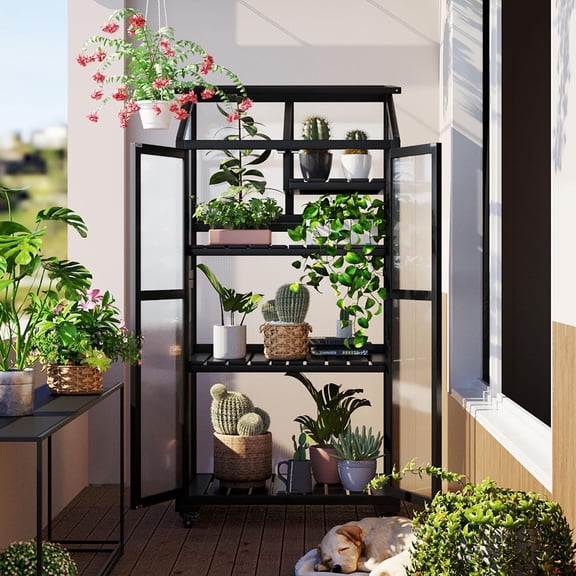 31.5"W x 22.4"D x 62"H Portable Greenhouses for Outdoors Indoor, Wood Frame Polycarbonate Garden Greenhouse with Shelves and Wheels, Black