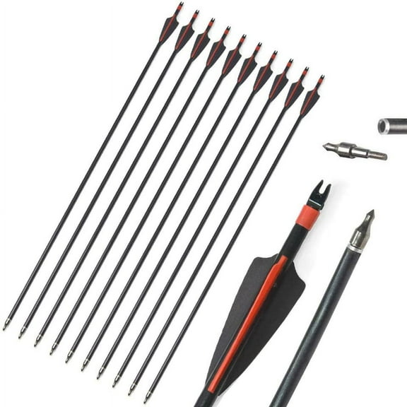 31" Fiberglass Arrow Hunting Target Arrow with Removable Tips for Compound & Recurve Bow (Pack of 12)