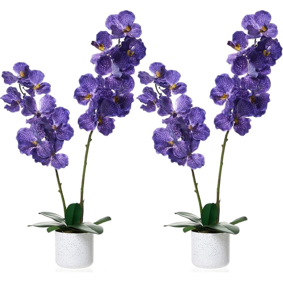 31 Inch Artificial Orchid Trees 2 Pack with White Planter and 14 Blooms Purple