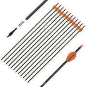 31 Inch Carbon Arrow Practice Hunting Arrows Spine 400 with Removable Tips for Archery Compound & Recurve & Traditional Bow (12 Pcs) (Orange)