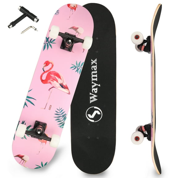 31-Inch Complete Double-Kick Skateboard for Adults & Beginners, T-Tool Included (Bird)