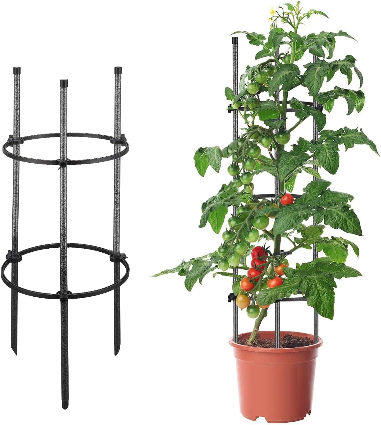 31" Metal Tomato Cage Garden Trellis to Support Plan with 2 Adjustable Support Rings for Pots,1 Pack