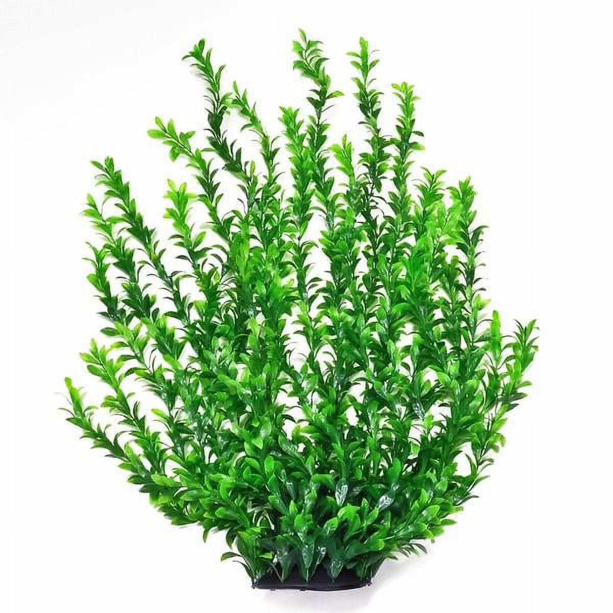 31" Tall, Broad Plant Dark Green w/weighted base Bag & Header PD-BH56