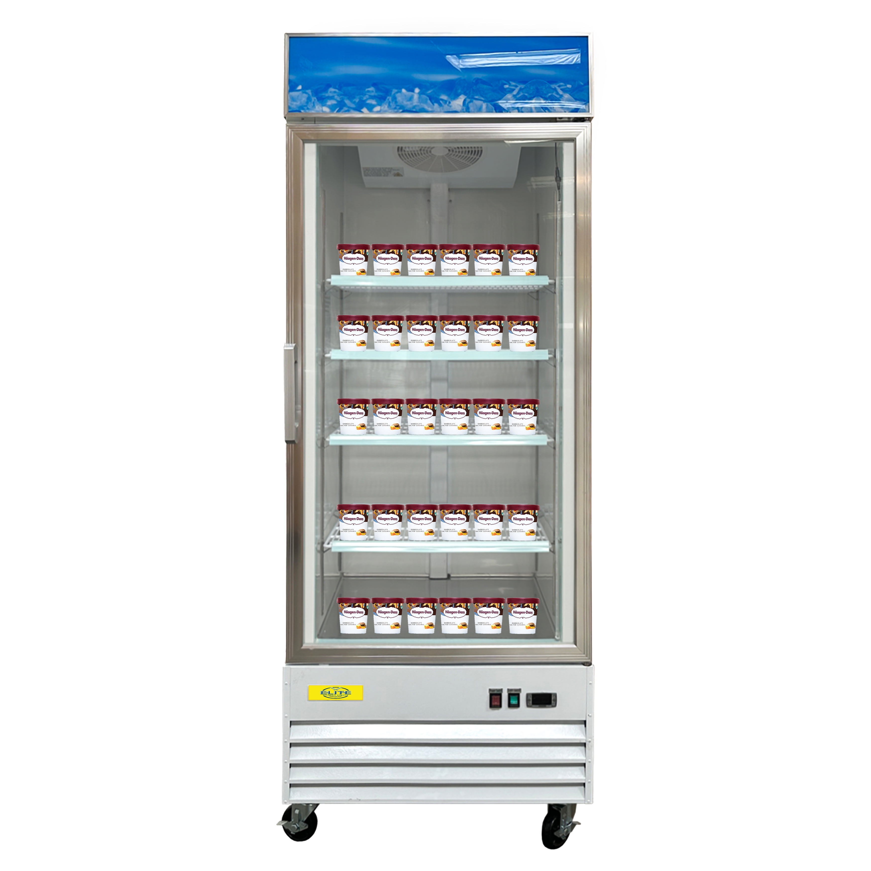 31 in. Single Glass Door Food Merchandiser Commercial Freezer, 23 cu. ft.