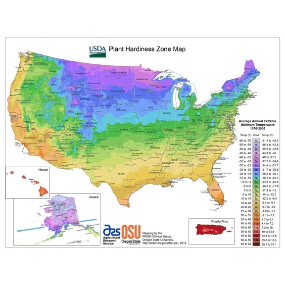 Wall Art Impressions Heavyweight Photo Paper ClimateZone Maps of the United States 31" x 2 4" Poster