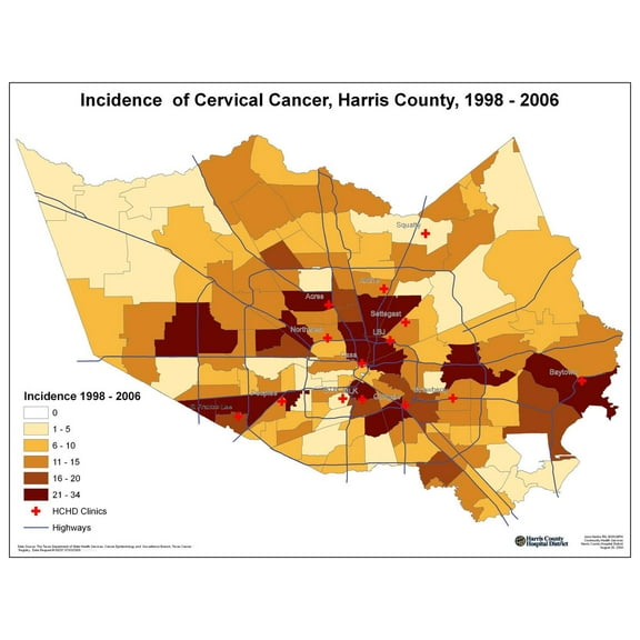 31"x24" Heavyweight Photo Paper Quality Poster: Economic Map - 100 Map Of Houston Te"xas Galveston County The Handbook Of Te"xas Online Te"xas State,165