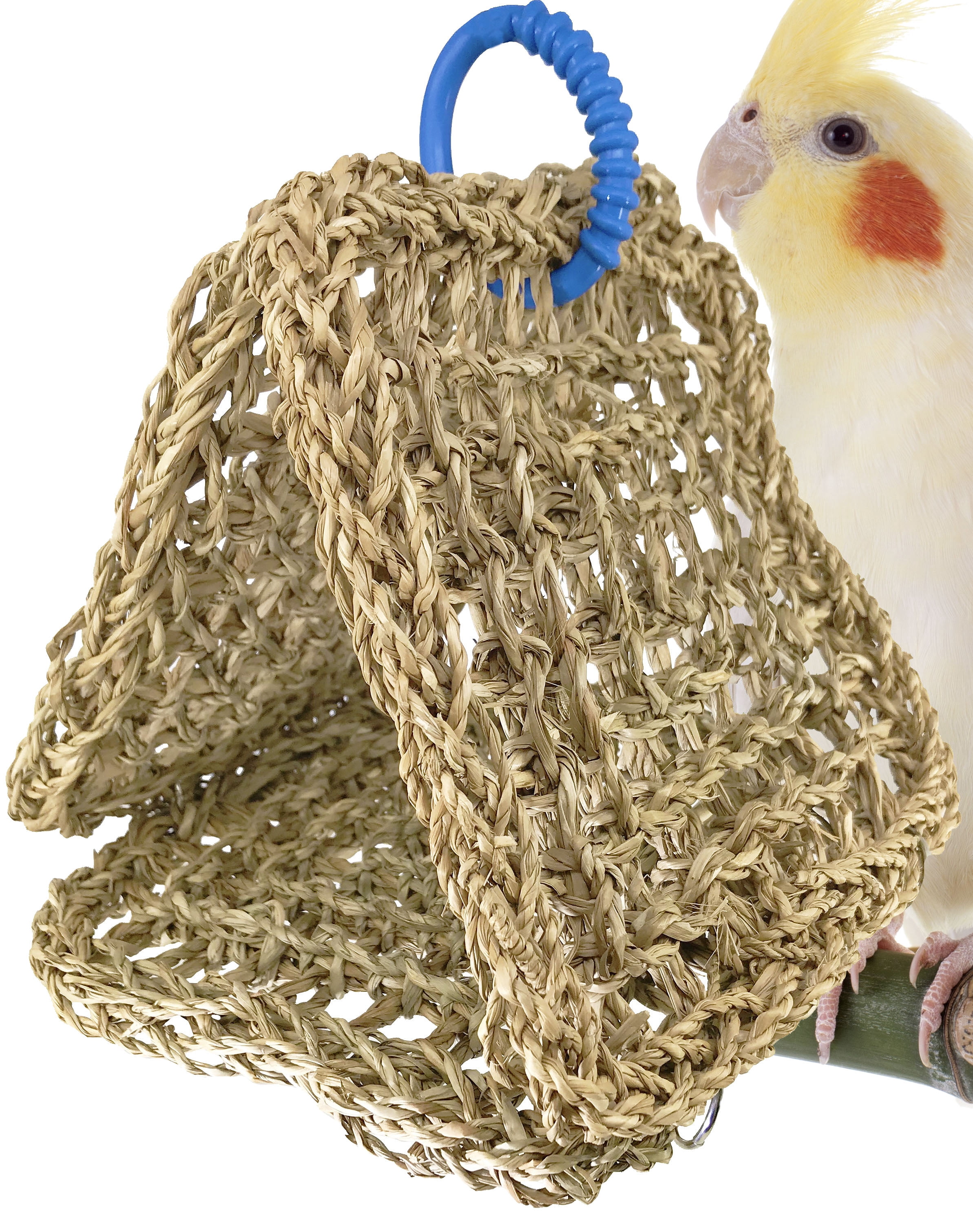 3126 Bonka Seagrass Tent Bird Toy