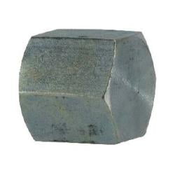 316 1/4 NPT Hex Pipe Cap