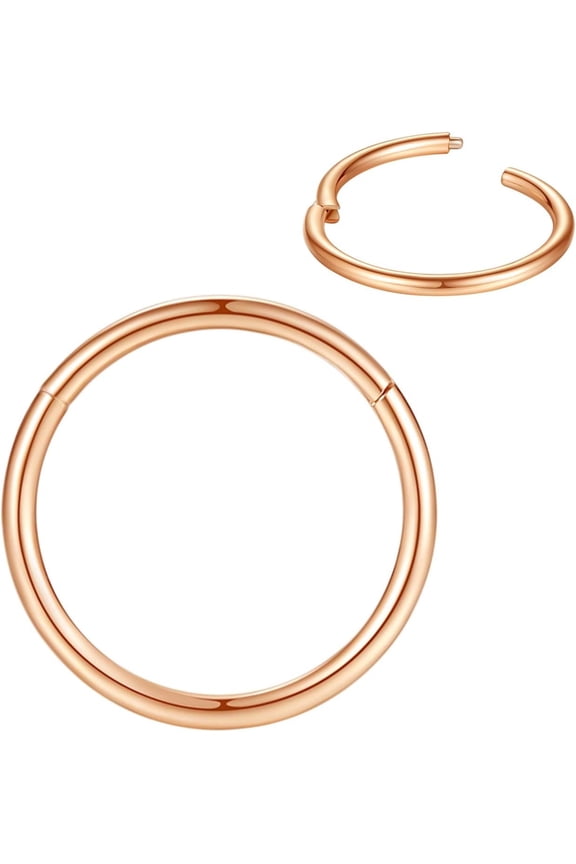 316L Quality Surgical Steel Nose Rings Hoop Septum Clicker Hinged Segment Ring Lip Ear Piercing Earrings for Cartilage Helix Tragus Conch Rook 20g 18g 16g 14g 12g 10g 8g,Inner Diameter 5mm t...[p248]