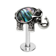 316L Stainless Steel Abalone Shell Elephant Labret