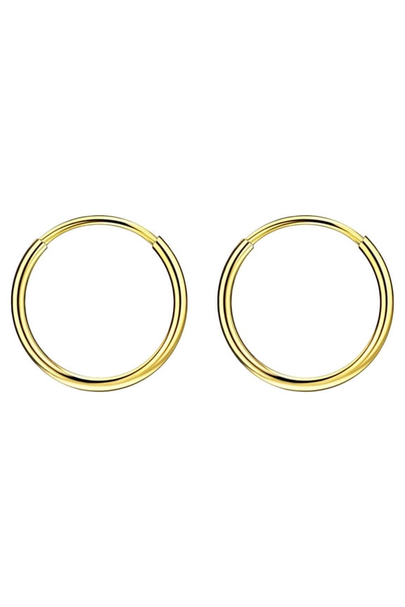 316L Surgical Steel Earrings for Women Gold Plated Hoop Earring 10mm Endless Hoop Earrings