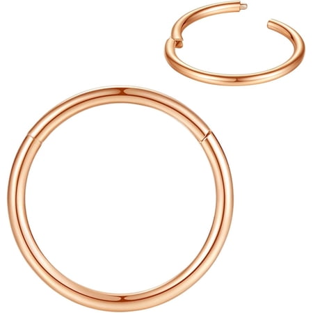 316L Surgical Steel Nose Rings Hoop Septum Clicker Hinged Segment Ring Lip Ear Piercing Earrings for Cartilage Helix Tragus Conch Rook 20g 18g 16g 14g 12g 10g 8g,Inner Diameter 5mm to 22mm[q109]