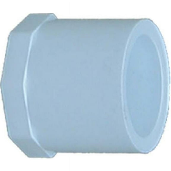 31840 2 in. Plug Spigot, White