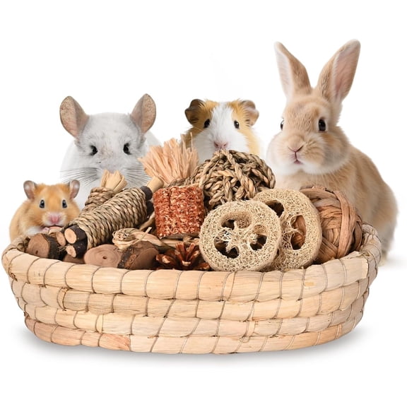31PCS Rabbit Chew Treat Toys for Teeth Health, Natural Bunny Enrichment Toys for Boredom & Stress Relief, Keep Busy Toys for Guinea Pig Chinchilla Hamster Rat Gerbil Degu Indoor Outdoor