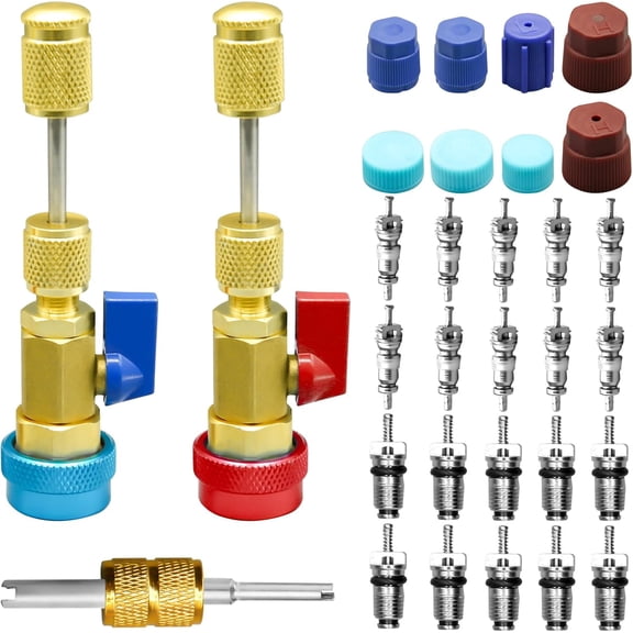 31Pcs R134A Valve Core Quick Remover Kit doutils dinstallation, outil de retrait de noyau de Valve haute basse pression avec 5V1 R134A Valve Core AC Service Port Cap Kit tige de Valve pour systme