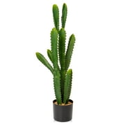 Cactus Vase