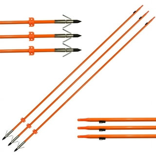 Bow Fishing Reel with Bowfishing Arrows Set Archery Bow Fishing Reel Kit  Bowfishing Tool Accessories Bow Fishing Arrows with Safety Slides for  Compound Bow Recurve Bow (Orange)