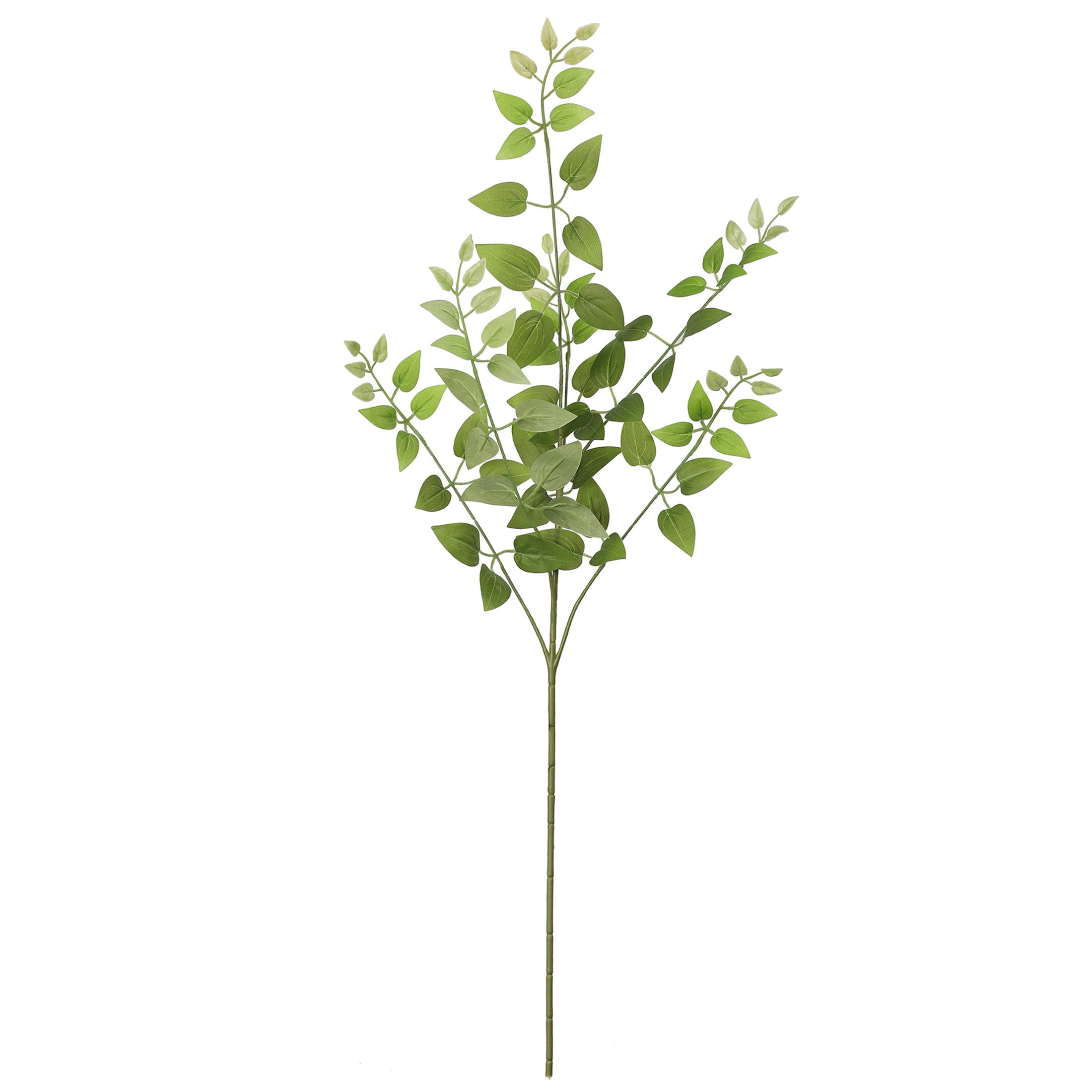 32" Green Clematis Leaves Stem for Floral Arrangements