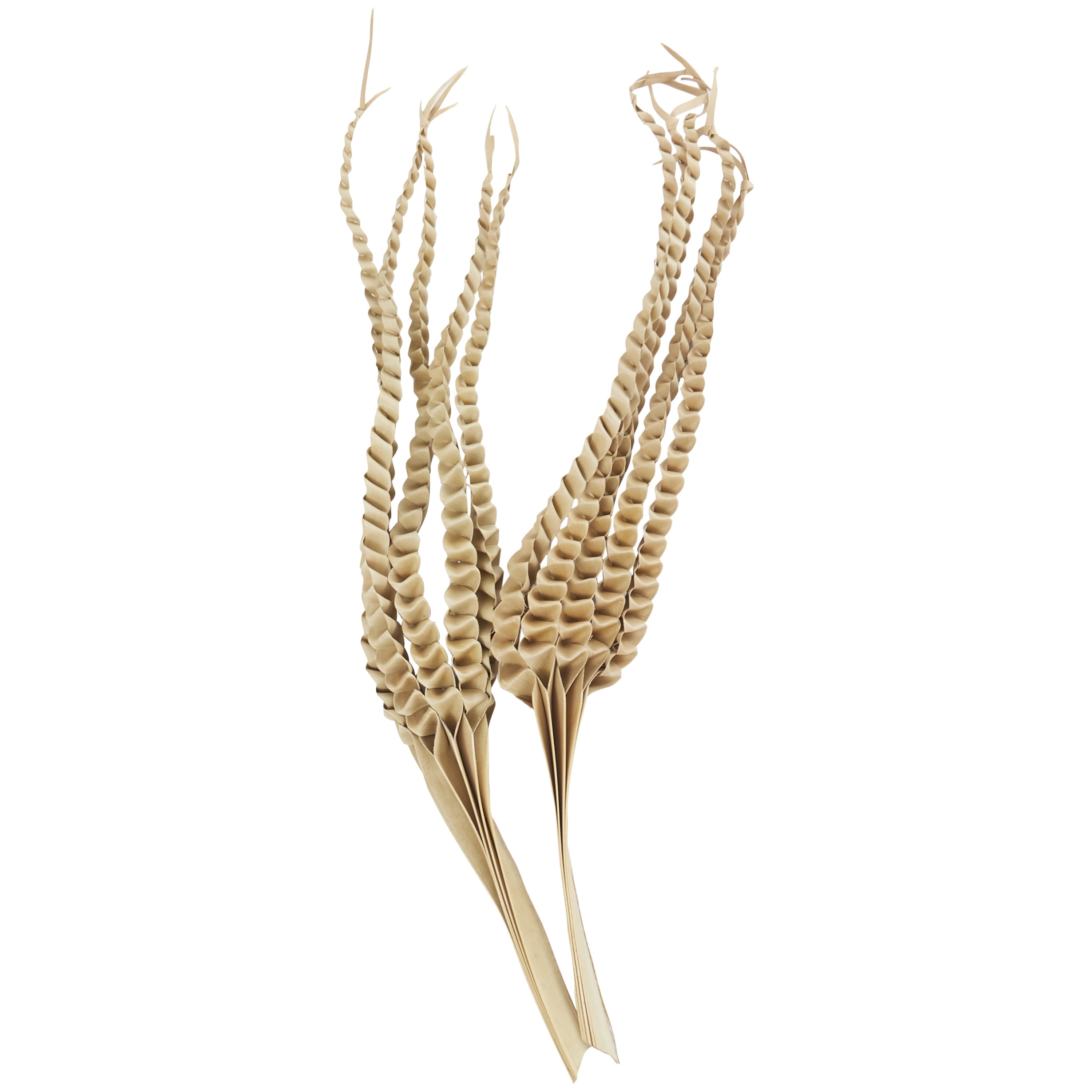 32" Handmade Tall Five Finger Dried Plant Natural Foliage Palm Leaf Bouquet, by DecMode