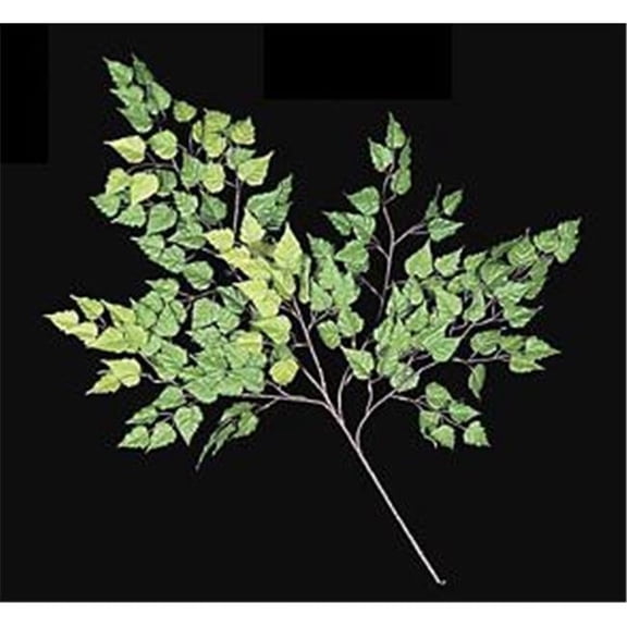 32 Inch Birch Branch - Green - Dozen