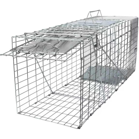 Heavy Duty Folding Raccoon Traps, Humane Cat Trap for Stray Cats, Raccoons, Squirrel, Skunk, Mole, Groundhog, Armadillo, Rabbit – 32" Live Animal Cage Trap, Catch and Release
