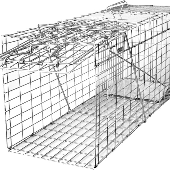 32" Live Animal Cage Trap, Heavy Duty Folding Raccoon Traps, Humane Cat Trap for Stray Cats, Raccoons, Squirrel, Skunk, Mole, Groundhog, Armadillo, Rabbit, Catch and Release